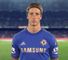 Torres image